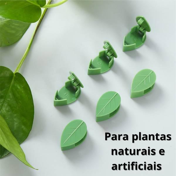 Gancho para Plantas - Suporte Clipe Folha Invisível Autoadesivo - Paixão Verde | Loja Online